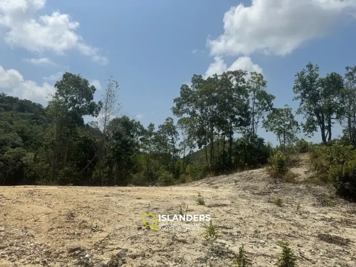 Big seaview and jungleview land with good potential in Sritanu (dirty road, no electricity), 25,6775 Rai