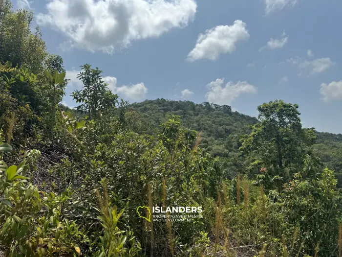 Big seaview and jungleview land with good potential in Sritanu (dirty road, no electricity), 25,6775 Rai