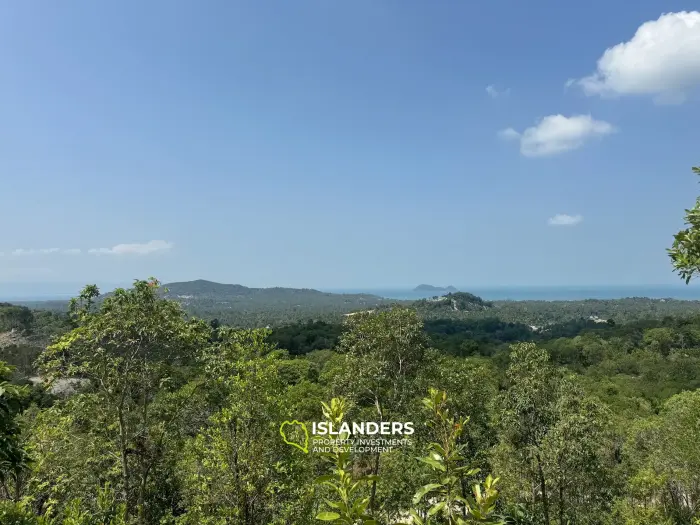 Big seaview and jungleview land with good potential in Sritanu (dirty road, no electricity), 25,6775 Rai