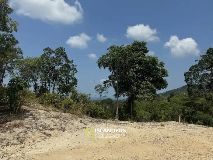 Big seaview and jungleview land with good potential in Sritanu (dirty road, no electricity), 25,6775 Rai