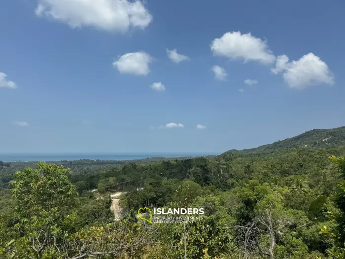 Big seaview and jungleview land with good potential in Sritanu (dirty road, no electricity), 25,6775 Rai