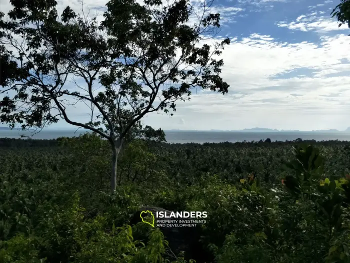 Terreno con vistas impresionantes en Chalok Baan Kao