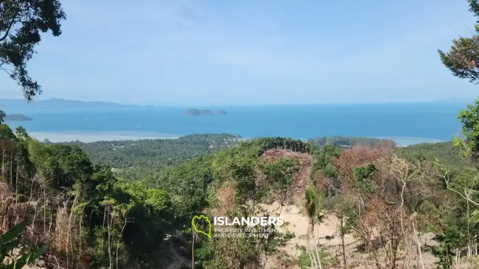 Fantastische Grundstücke mit Meerblick in Haad Yao – ab 2,7 Millionen THB