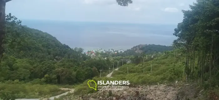 Fantastische Grundstücke mit Meerblick in Haad Yao – ab 2,7 Millionen THB