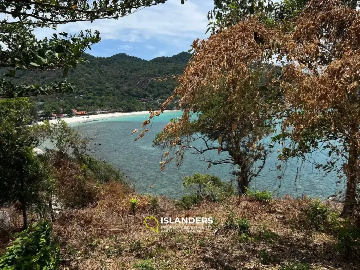 Beachfront land Haad Rin
