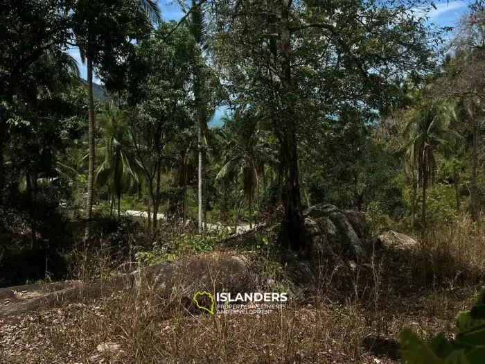 Panoramic Sea and Mountain View Plot3