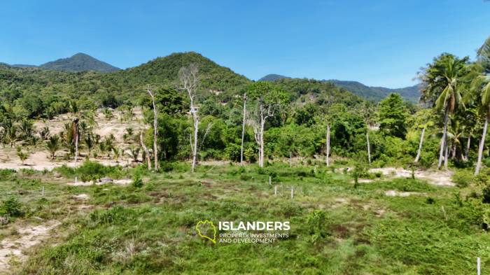 ที่ดินในอุดมคติสำหรับโครงการของคุณพร้อมวิวภูเขาและป่า แปลงที่ 3