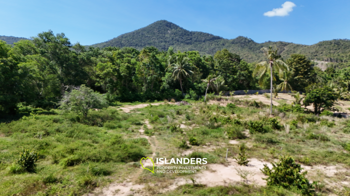 ที่ดินในอุดมคติสำหรับโครงการของคุณพร้อมวิวภูเขาและป่า แปลงที่ 3