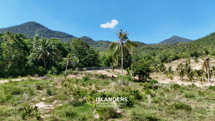 ที่ดินในอุดมคติสำหรับโครงการของคุณพร้อมวิวภูเขาและป่า แปลงที่ 3