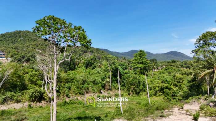 ที่ดินในอุดมคติสำหรับโครงการของคุณพร้อมวิวภูเขาและป่า แปลงที่ 3