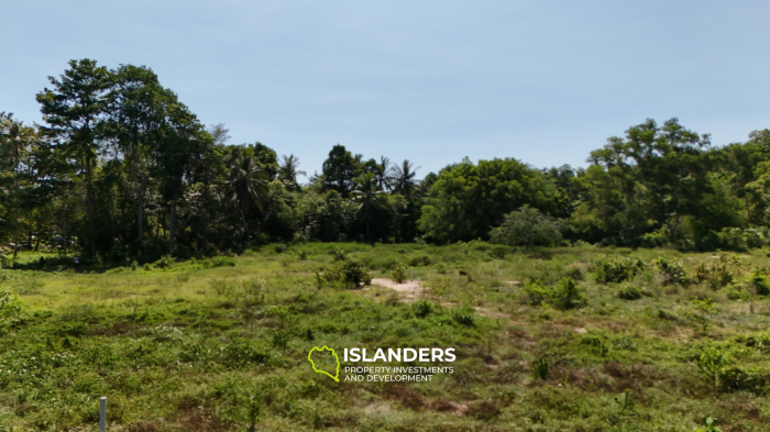 ที่ดินในอุดมคติสำหรับโครงการของคุณพร้อมวิวภูเขาและป่า แปลงที่ 3