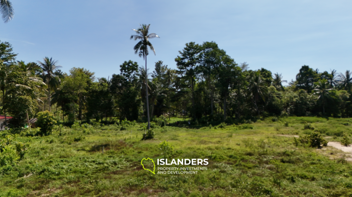 ที่ดินในอุดมคติสำหรับโครงการของคุณพร้อมวิวภูเขาและป่า แปลงที่ 3