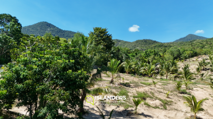 ที่ดินในอุดมคติสำหรับโครงการของคุณพร้อมวิวภูเขาและป่า แปลงที่ 3