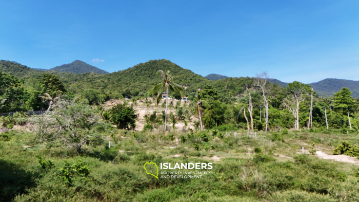 ที่ดินในอุดมคติสำหรับโครงการของคุณพร้อมวิวภูเขาและป่า แปลงที่ 3