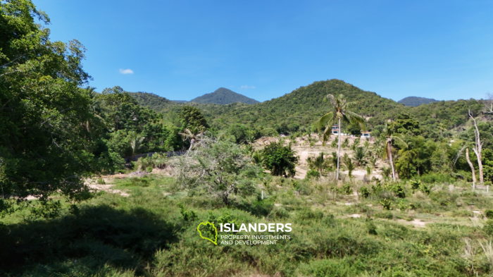 ที่ดินในอุดมคติสำหรับโครงการของคุณพร้อมวิวภูเขาและป่า แปลงที่ 3