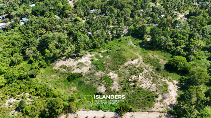 ที่ดินในอุดมคติสำหรับโครงการของคุณพร้อมวิวภูเขาและป่า แปลงที่ 3