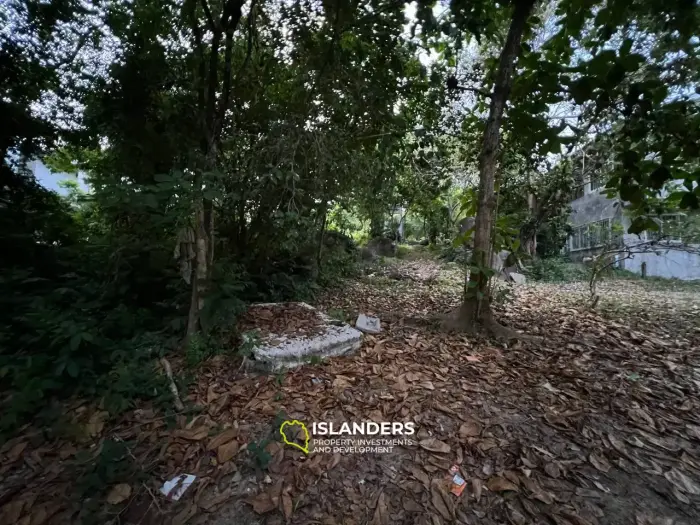 Небольшой участок на Най воке