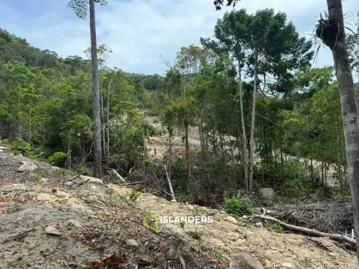 Amazing mountain land in  Madua Wan (Plot F)