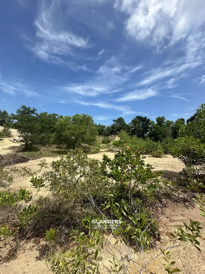 Flat land with amaizing Mountain View on Chalock Ban Kao