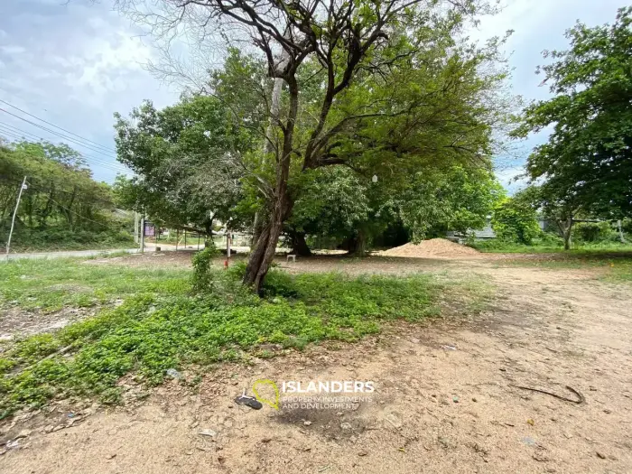 Flat land near the road in Haad Rin