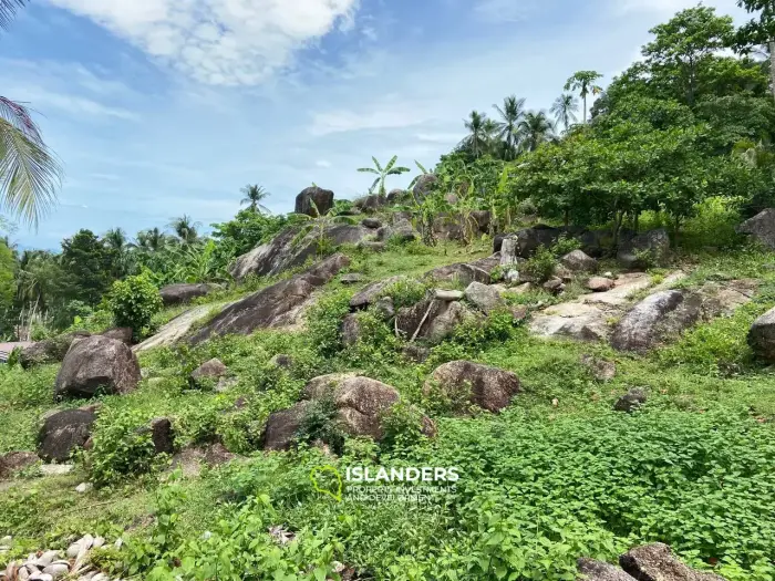 静かなエリアにある岩と果樹のある素晴らしいパノラマの海の景色の土地