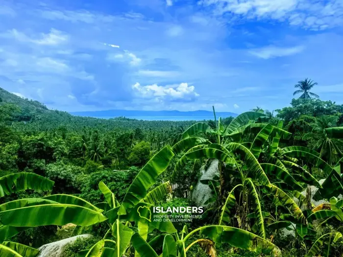 静かなエリアにある岩と果樹のある素晴らしいパノラマの海の景色の土地