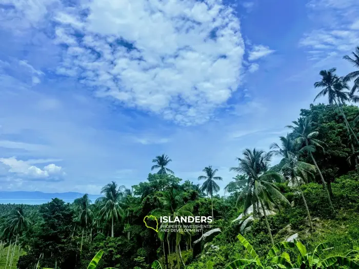 静かなエリアにある岩と果樹のある素晴らしいパノラマの海の景色の土地