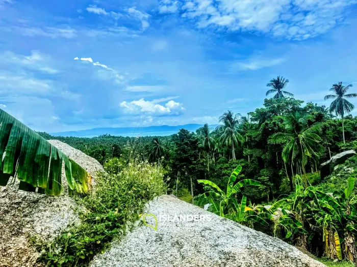 静かなエリアにある岩と果樹のある素晴らしいパノラマの海の景色の土地