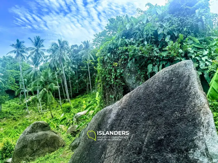 静かなエリアにある岩と果樹のある素晴らしいパノラマの海の景色の土地