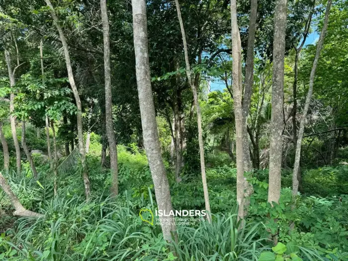 ¡Bonito y gran terreno a buen precio!