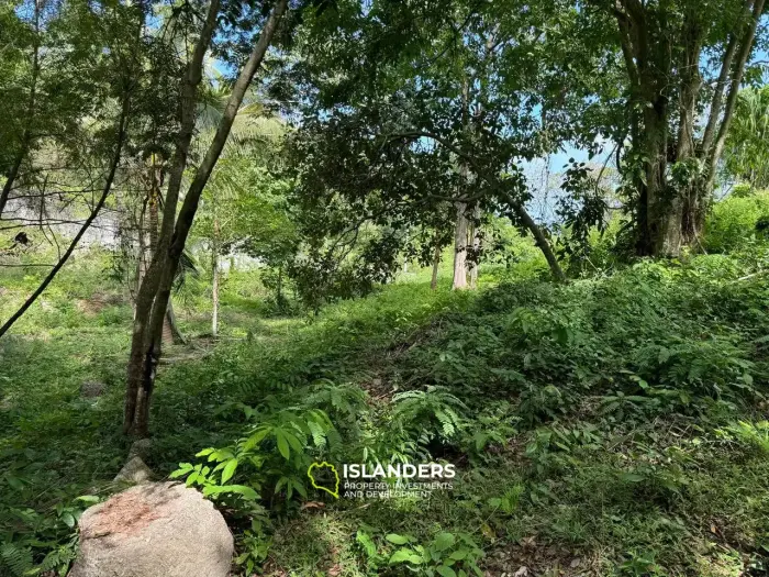 ¡Bonito y gran terreno a buen precio!