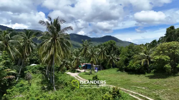 Superbe terrain avec vue sur la montagne pour votre projet