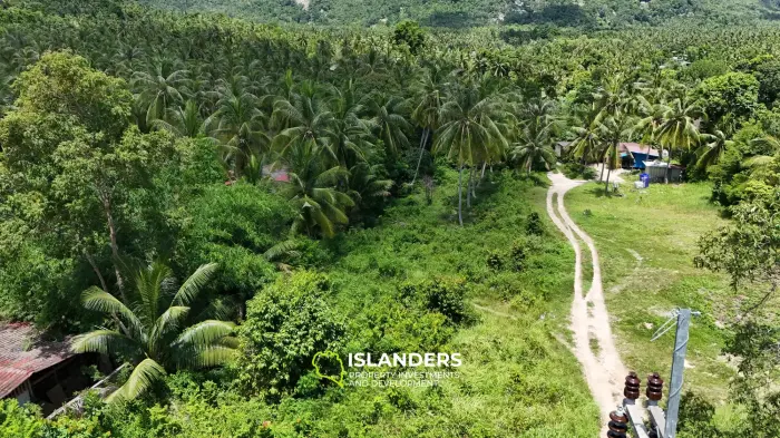 Superbe terrain avec vue sur la montagne pour votre projet