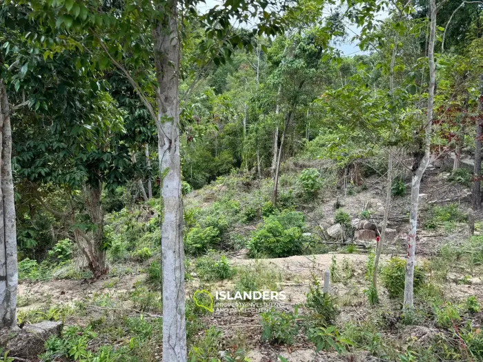 Impresionante terreno con vista al mar en Chalok Baan Kao 