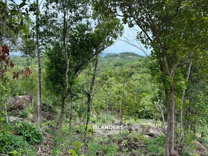 Impresionante terreno con vista al mar en Chalok Baan Kao 