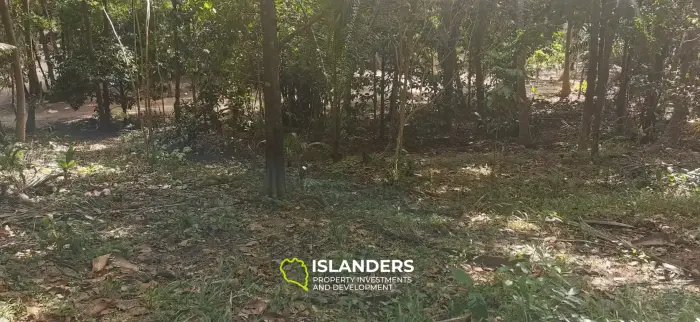1,100 SqM land in Srithanu 
