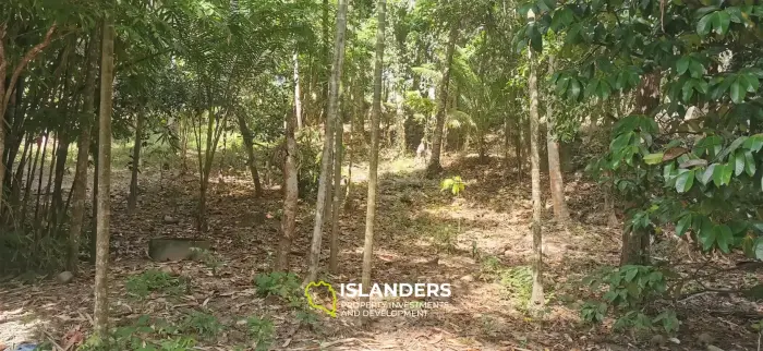 1,100 SqM land in Srithanu 