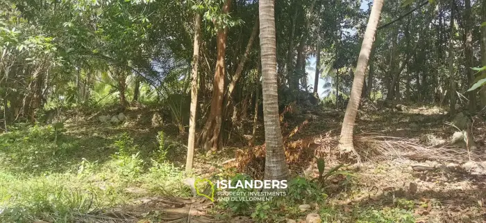 1,100 SqM land in Srithanu 