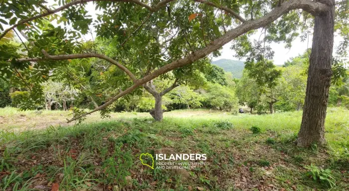 Big land in Chaloklum with seaview