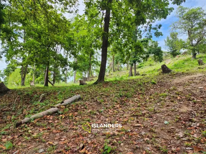 Big land in Chaloklum with seaview