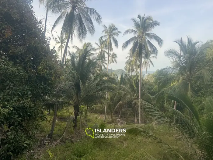 Seaview Land Hard Salad 1600 m² (1 Rai). Polt D