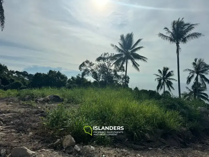 Best Seaview Land in Haad Salad with road and electricity!