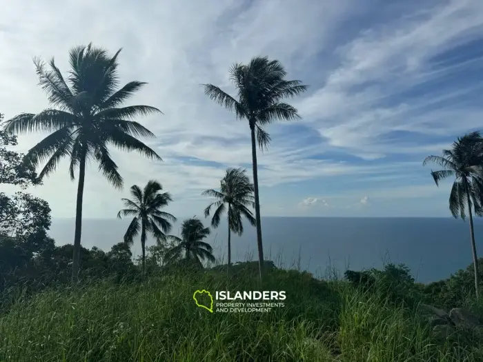 Best Seaview Land in Haad Salad with road and electricity!