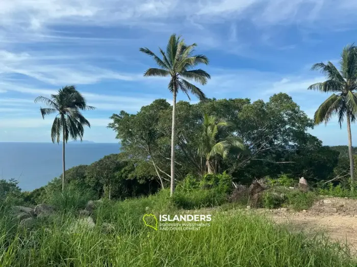 Best Seaview Land in Haad Salad with road and electricity!