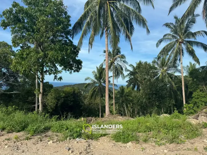 Best Seaview Land in Haad Salad with road and electricity!