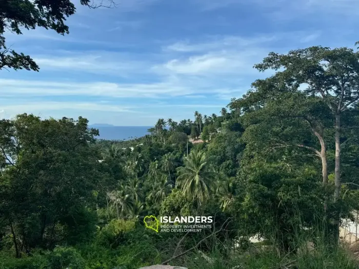 Best Seaview Land in Haad Salad with road and electricity!