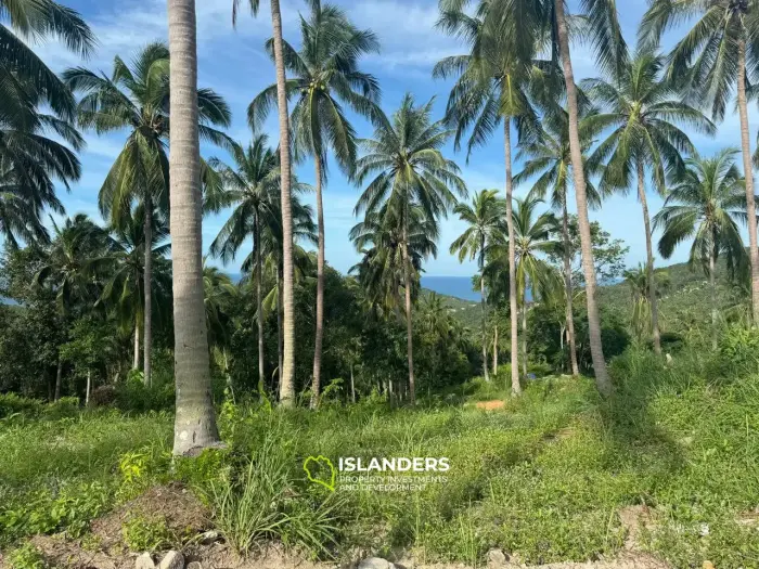 Best Seaview Land in Haad Salad with road and electricity!