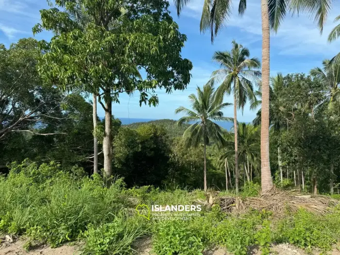 Best Seaview Land in Haad Salad with road and electricity!