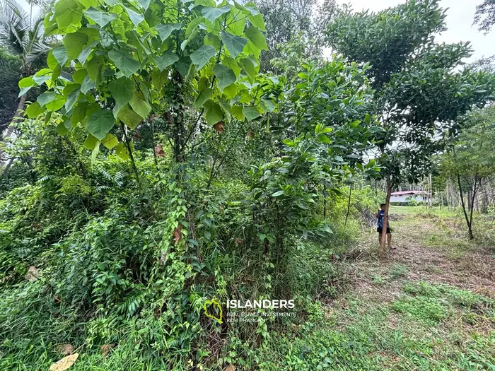 Prime Land for Sale in Koh Phangan – 5 Rai Total (1 Rai + 4 Rai)