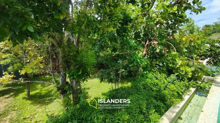 3 bedroom pool villa with garden